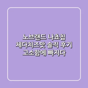 노브랜드 나쵸칩 체다치즈맛 솔직 후기! 고소함에 빠지다