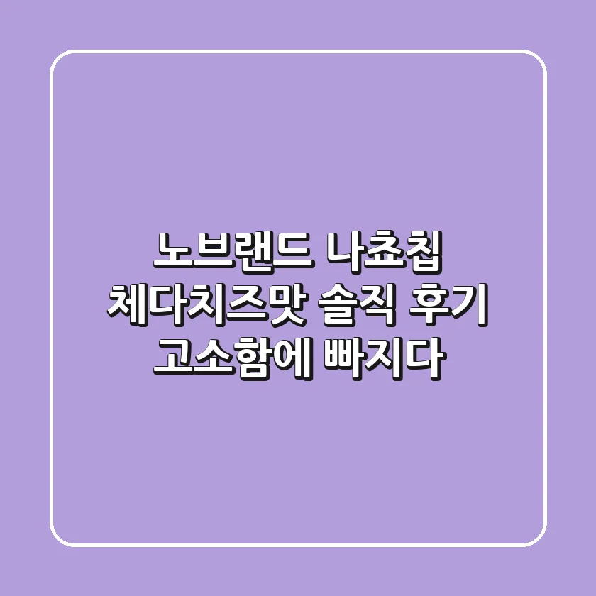 노브랜드 나쵸칩 체다치즈맛 솔직 후기! 고소함에 빠지다