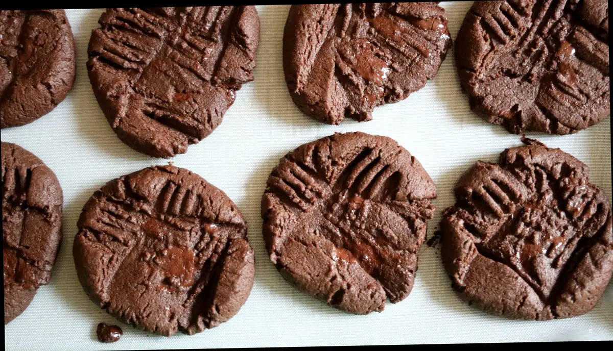 널담쿠키, 이런 분들께 특히 추천해요!