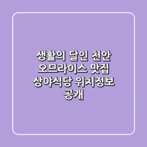 생활의 달인 천안 오므라이스 맛집, 상야식당 위치정보 공개!