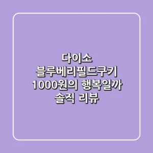 다이소 블루베리필드쿠키, 1000원의 행복일까? 솔직 리뷰!