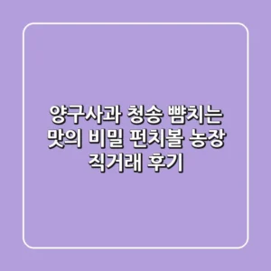 양구사과, 청송 뺨치는 맛의 비밀! 펀치볼 농장 직거래 후기
