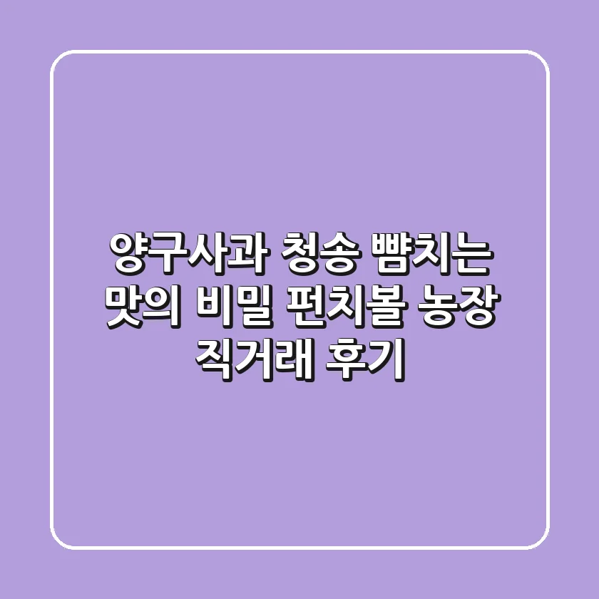 양구사과, 청송 뺨치는 맛의 비밀! 펀치볼 농장 직거래 후기