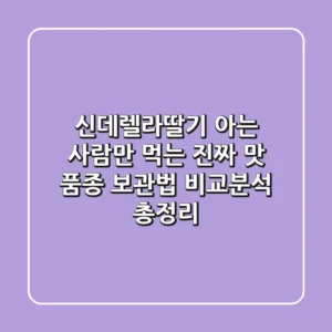신데렐라딸기: 아는 사람만 먹는 진짜 맛! 품종, 보관법, 비교분석 총정리