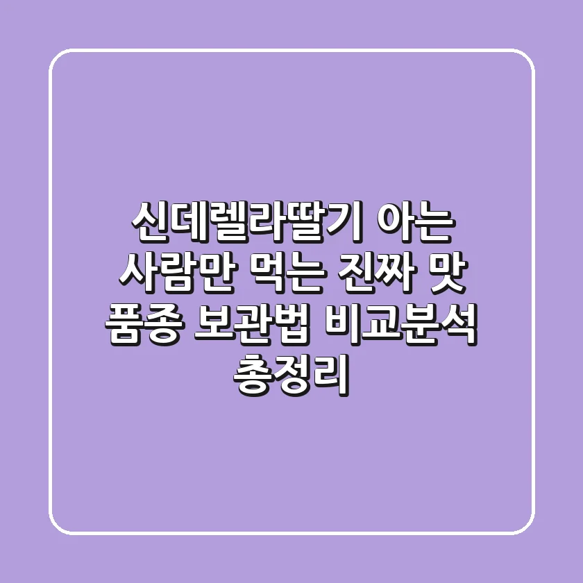 신데렐라딸기: 아는 사람만 먹는 진짜 맛! 품종, 보관법, 비교분석 총정리