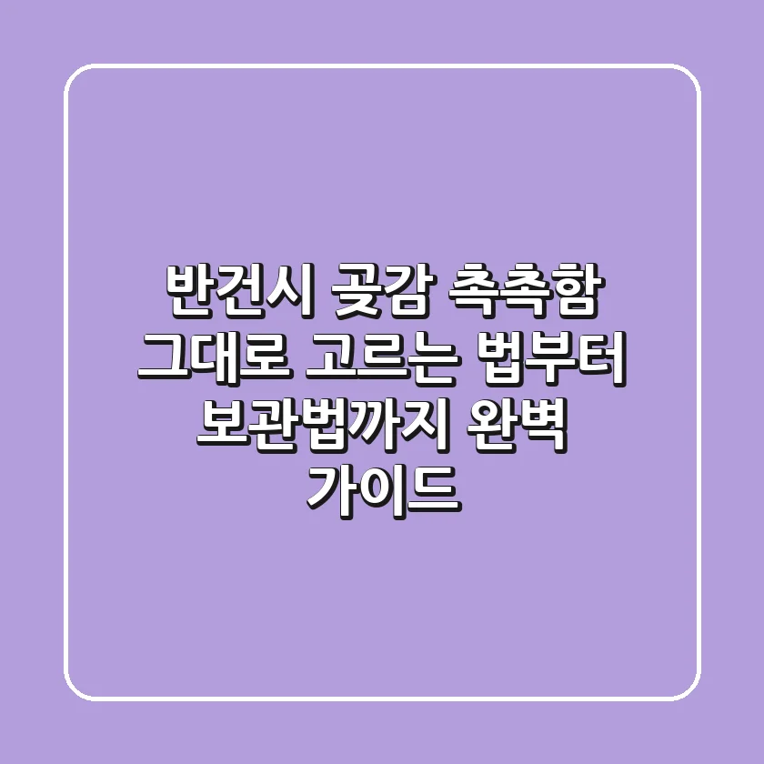 반건시 곶감, 촉촉함 그대로! 고르는 법부터 보관법까지 완벽 가이드