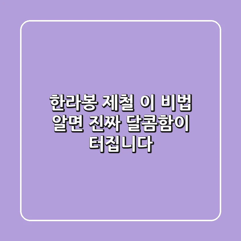 한라봉 제철, 이 비법 알면 ‘진짜’ 달콤함이 터집니다!