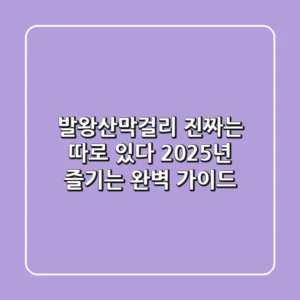 발왕산막걸리, 진짜는 따로 있다? 2025년 즐기는 완벽 가이드!