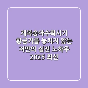 개복숭아수확시기: 황금기를 놓치지 않는 저만의 실전 노하우 (2025 최신)