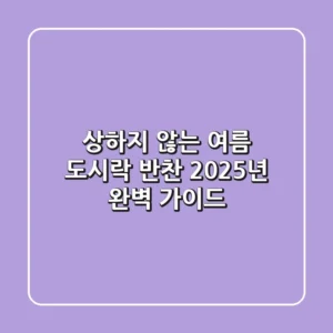 상하지 않는 여름 도시락 반찬, 2025년 완벽 가이드