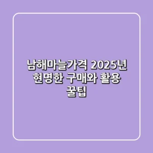 남해마늘가격, 2025년 현명한 구매와 활용 꿀팁