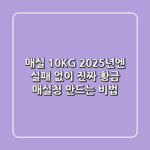 매실 10KG, 2025년엔 실패 없이 '진짜' 황금 매실청 만드는 비법