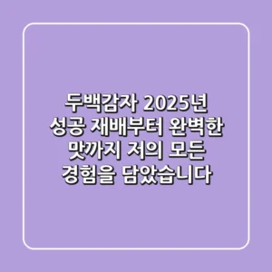 두백감자: 2025년 성공 재배부터 완벽한 맛까지, 저의 모든 경험을 담았습니다!