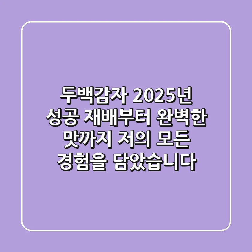 두백감자: 2025년 성공 재배부터 완벽한 맛까지, 저의 모든 경험을 담았습니다!