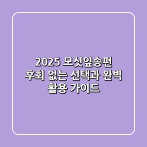 2025 모싯잎송편, 후회 없는 선택과 완벽 활용 가이드
