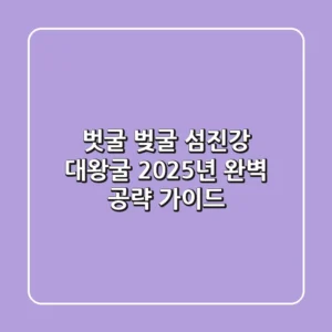 벗굴? 벚굴? 섬진강 대왕굴, 2025년 완벽 공략 가이드