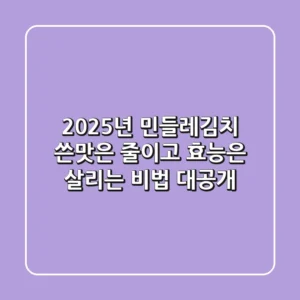 2025년 민들레김치, 쓴맛은 줄이고 효능은 살리는 비법 대공개