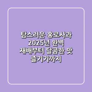 탐스러운 홍로사과: 2025년 완벽 재배부터 달콤한 맛 즐기기까지
