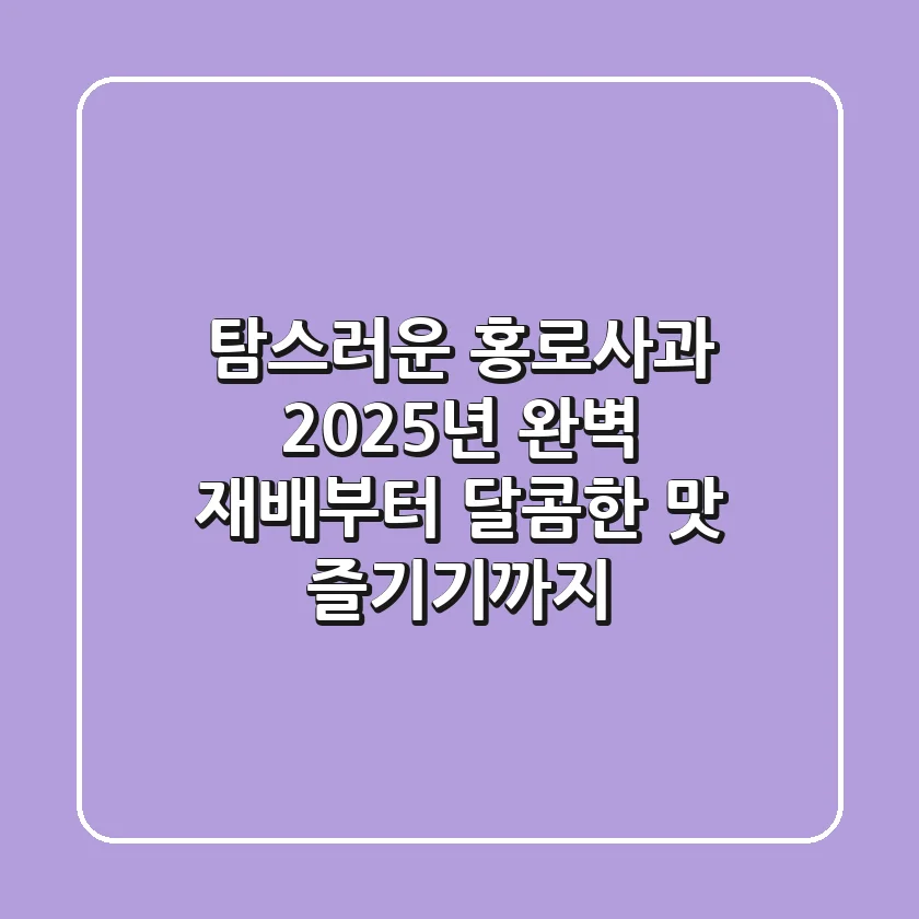 탐스러운 홍로사과: 2025년 완벽 재배부터 달콤한 맛 즐기기까지