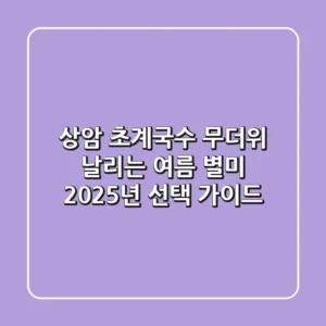 상암 초계국수: 무더위 날리는 여름 별미, 2025년 선택 가이드