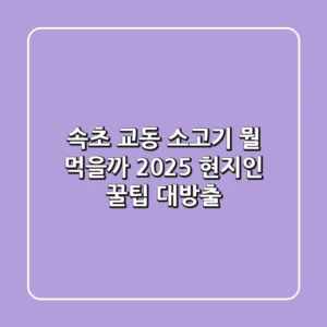 속초 교동 소고기, 뭘 먹을까? 2025 현지인 꿀팁 대방출!