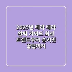 2025년 베라 배라 완벽 가이드: 최신 트렌드부터 숨겨진 꿀팁까지