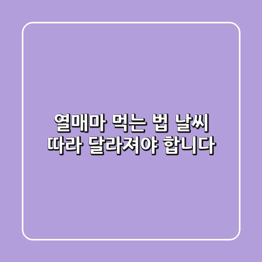 열매마 먹는 법, 날씨 따라 달라져야 합니다!