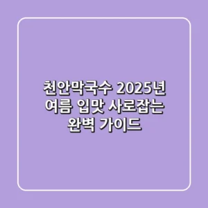 천안막국수, 2025년 여름 입맛 사로잡는 완벽 가이드