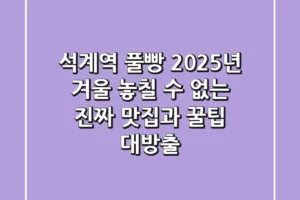 석계역 풀빵, 2025년 겨울 놓칠 수 없는 진짜 맛집과 꿀팁 대방출!