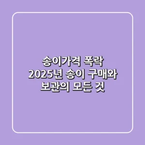 송이가격 폭락, 2025년 송이 구매와 보관의 모든 것