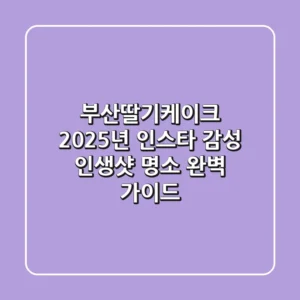 부산딸기케이크, 2025년 인스타 감성 인생샷 명소 완벽 가이드
