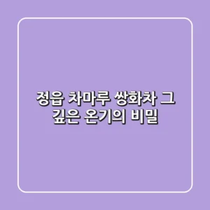 정읍 차마루 쌍화차, 그 깊은 온기의 비밀