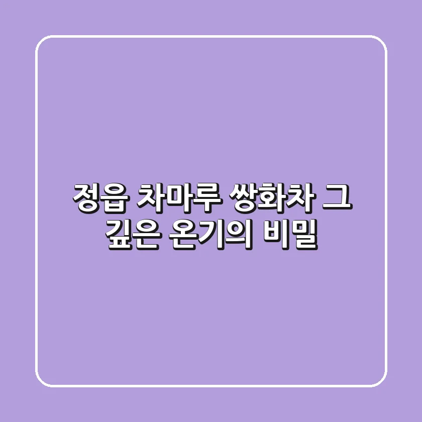 정읍 차마루 쌍화차, 그 깊은 온기의 비밀