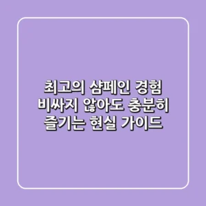최고의 샴페인 경험: 비싸지 않아도 충분히 즐기는 현실 가이드