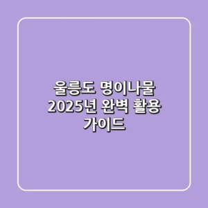 울릉도 명이나물, 2025년 완벽 활용 가이드