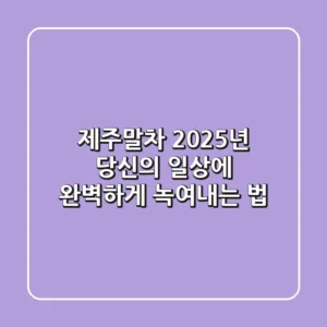 제주말차, 2025년 당신의 일상에 완벽하게 녹여내는 법
