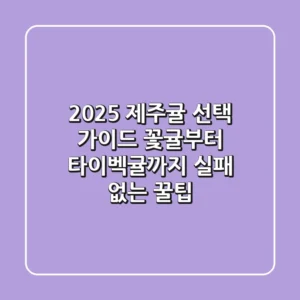 2025 제주귤 선택 가이드: 꽃귤부터 타이벡귤까지, 실패 없는 꿀팁!