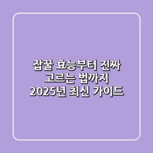 잡꿀 효능부터 진짜 고르는 법까지: 2025년 최신 가이드