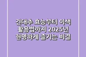 건대추 효능부터 이색 활용법까지, 2025년 현명하게 즐기는 비결