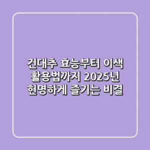 건대추 효능부터 이색 활용법까지, 2025년 현명하게 즐기는 비결