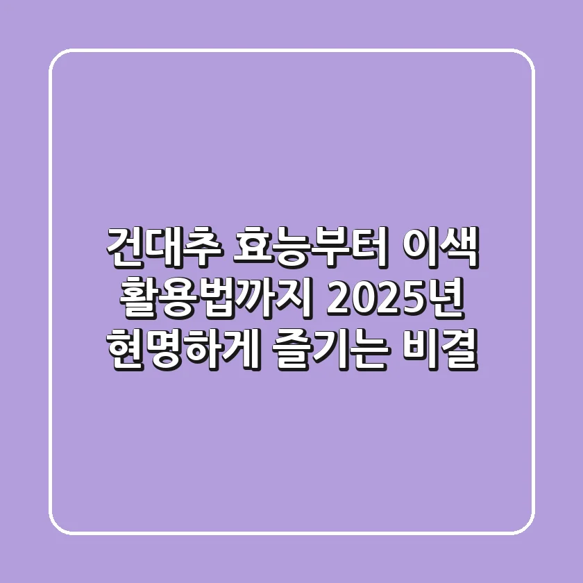 건대추 효능부터 이색 활용법까지, 2025년 현명하게 즐기는 비결