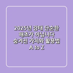 2025년 감태, 단순한 해초가 아닙니다: 숨겨진 가치와 활용법 A to Z