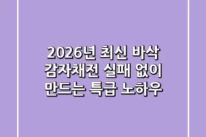 2026년 최신! 바삭 감자채전, 실패 없이 만드는 특급 노하우